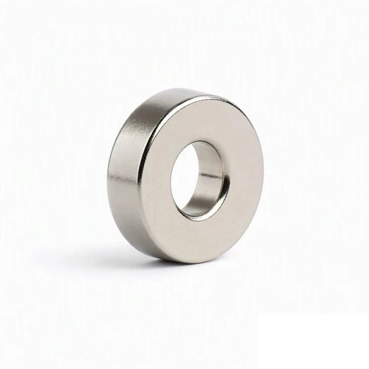 Neodymium Ring Magnets suppliers